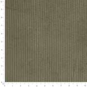 Charlotte - D3901 - Pine - Fabric by the Yard - D3901 - D3901_Ruler
