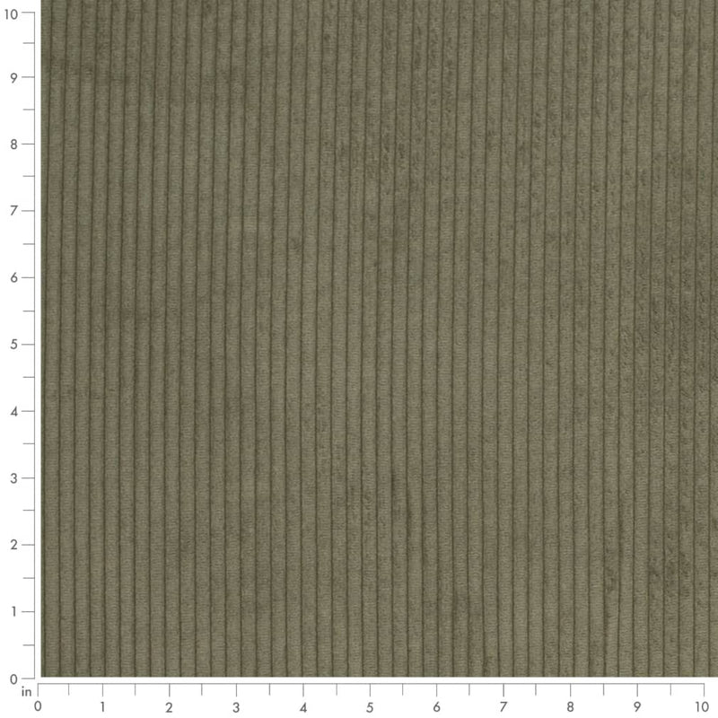 Charlotte - D3901 - Pine - Fabric by the Yard - D3901 - D3901_Ruler