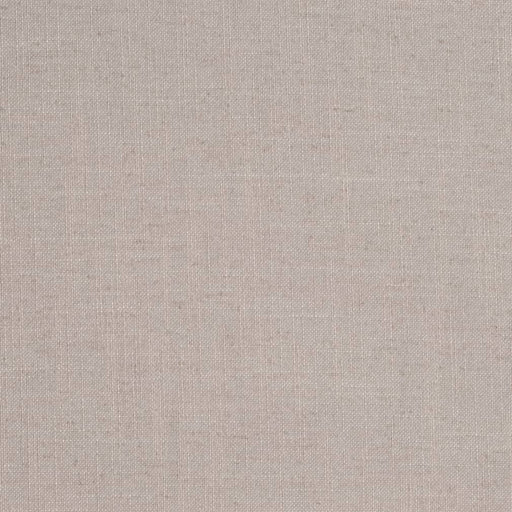 Charlotte - D3946 - Pewter - Fabric by the Yard Pewter