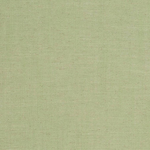 Charlotte - D3951 - Lime - Fabric by the Yard Lime