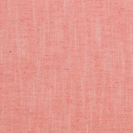 Charlotte - D3954 - Bubblegum - Fabric by the Yard Bubblegum