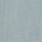 Charlotte - D3955 - Glacier - Fabric by the Yard Glacier