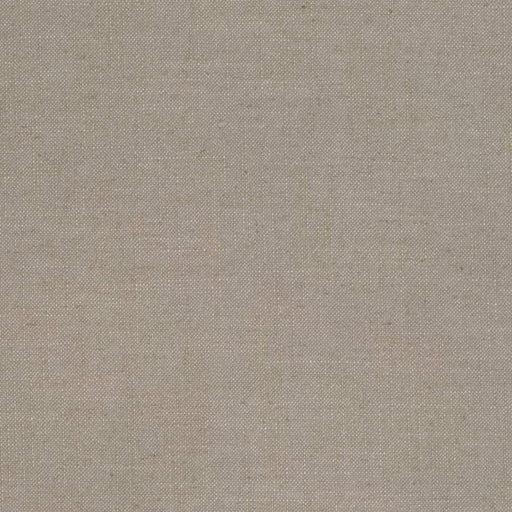 Charlotte - D3968 - Pumice - Fabric by the Yard Pumice