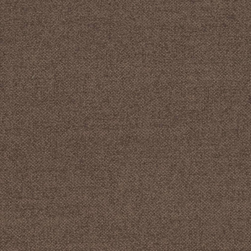 Charlotte - D3992 - Coffee - Fabric by the Yard Coffee
