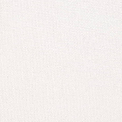 Charlotte - D3998 - Snow - Fabric by the Yard Snow