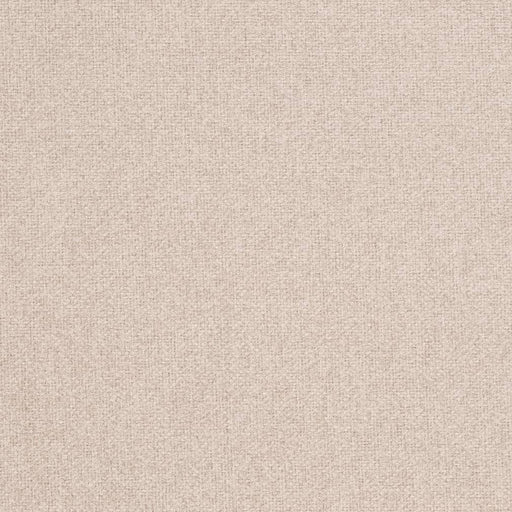 Charlotte - D3999 - Dove - Fabric by the Yard Dove