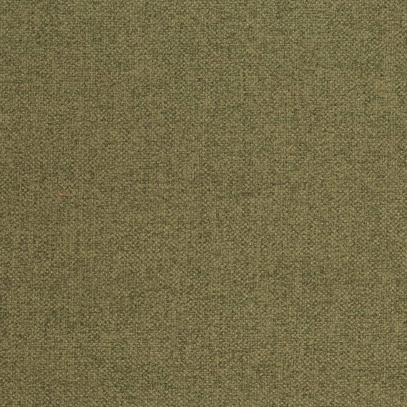 Charlotte - D4005 - Fern - Fabric by the Yard Fern