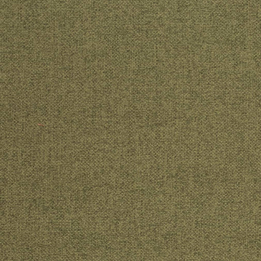 Charlotte - D4005 - Fern - Fabric by the Yard Fern