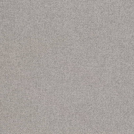 Charlotte - D4008 - Silver Sage - Fabric by the Yard Silver Sage