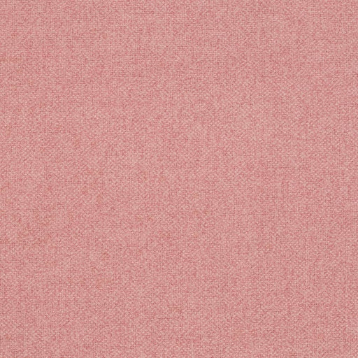 Charlotte - D4010 - Salmon - Fabric by the Yard Salmon
