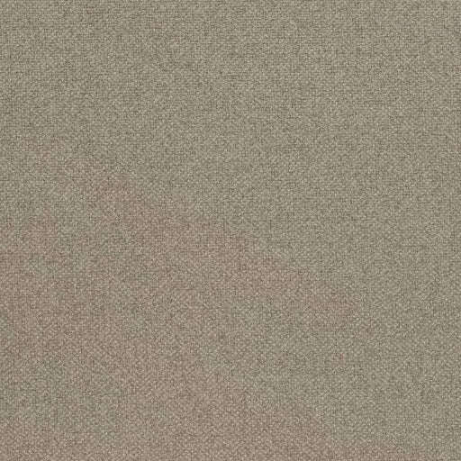 Charlotte - D4013 - Rosemary - Fabric by the Yard Rosemary