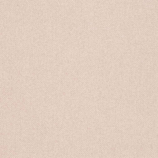 Charlotte - D4017 - Ash - Fabric by the Yard Ash