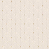Charlotte - D4034 - Ivory Olivia - Fabric by the Yard