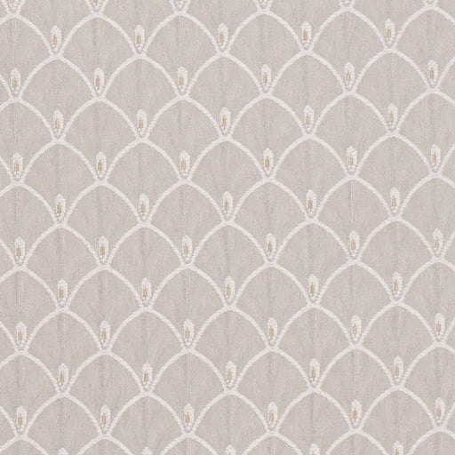 Charlotte - D4038 - Taupe Olivia - Fabric by the Yard Taupe Olivia