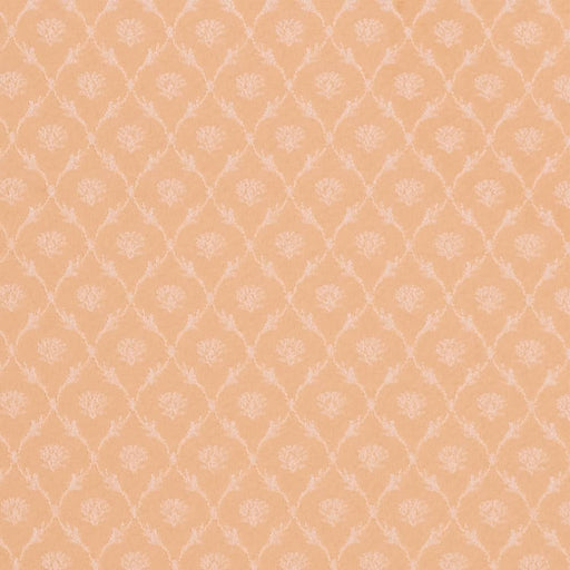 Charlotte - D4065 - Honey Nina - Fabric by the Yard Honey Nina