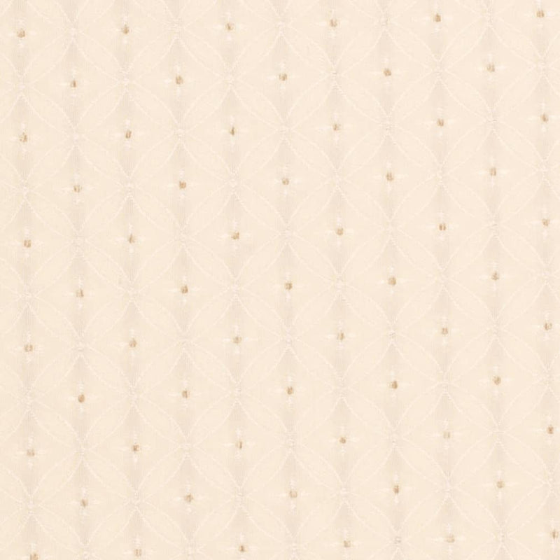 Charlotte - D4082 - Ivory Bria - Fabric by the Yard Ivory Bria