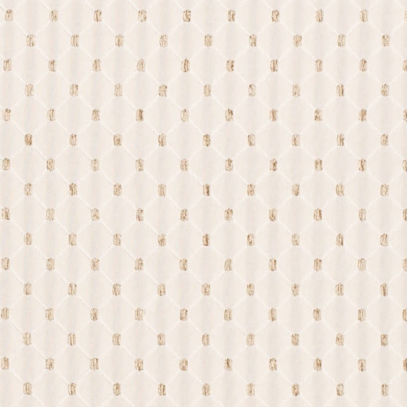 Charlotte - D4090 - Ivory Julia - Fabric by the Yard Ivory Julia