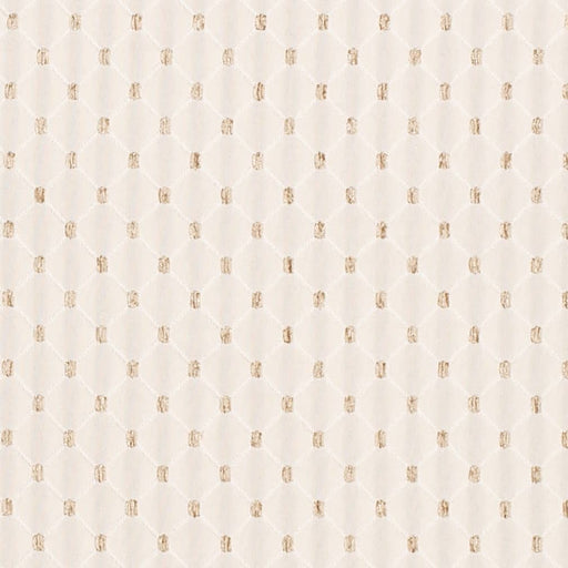 Charlotte - D4090 - Ivory Julia - Fabric by the Yard Ivory Julia