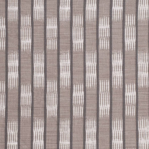 Charlotte - D4125 - Greystone - Fabric by the Yard Greystone