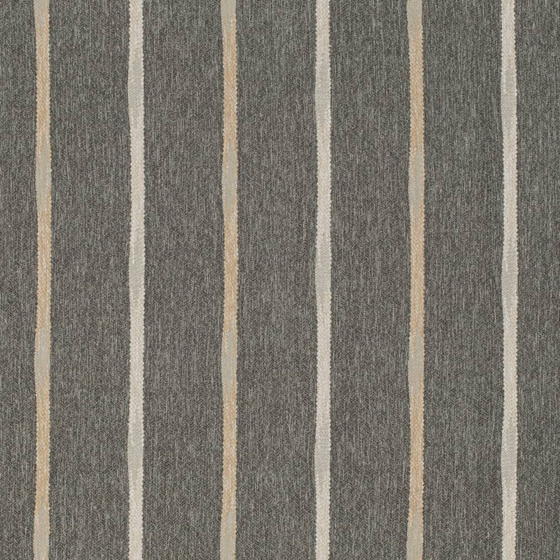 Charlotte - D4135 - Graphite - Fabric by the Yard Graphite