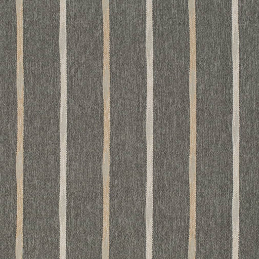 Charlotte - D4135 - Graphite - Fabric by the Yard Graphite
