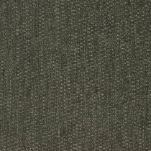 Charlotte - D4150 - Jungle - Fabric by the Yard Jungle
