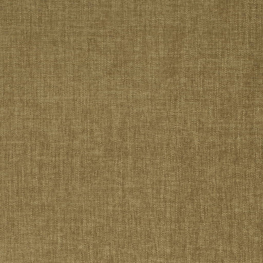 Charlotte - D4151 - Olive - Fabric by the Yard Olive