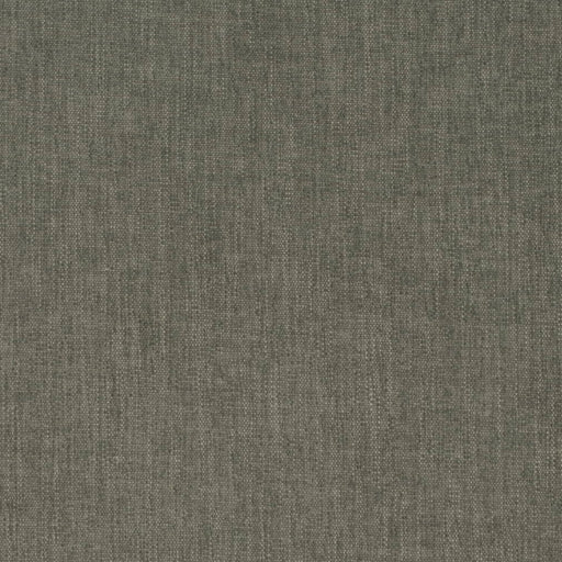 Charlotte - D4156 - Rosemary - Fabric by the Yard Rosemary