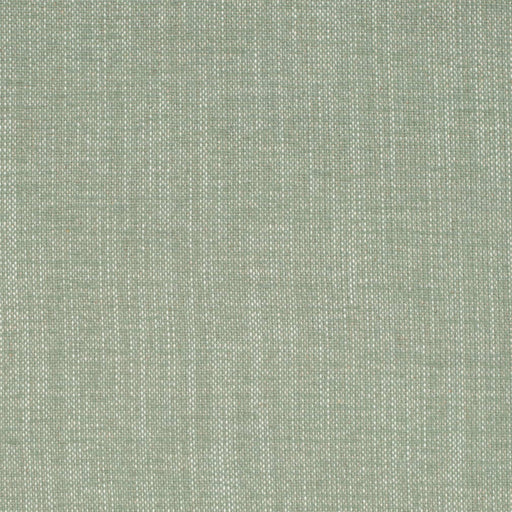 Charlotte - D4165 - Sage - Fabric by the Yard Sage