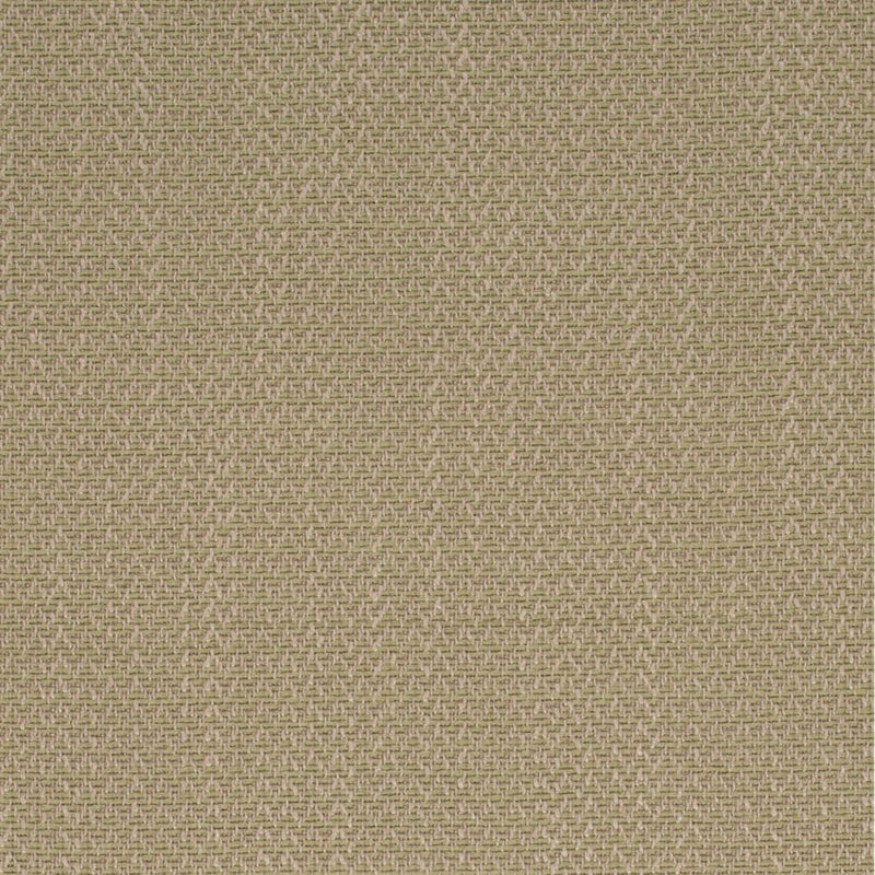 Charlotte - D4169 - Fern - Fabric by the Yard Fern