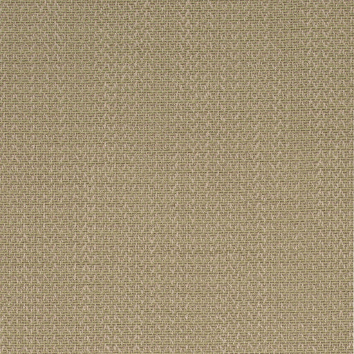 Charlotte - D4169 - Fern - Fabric by the Yard Fern