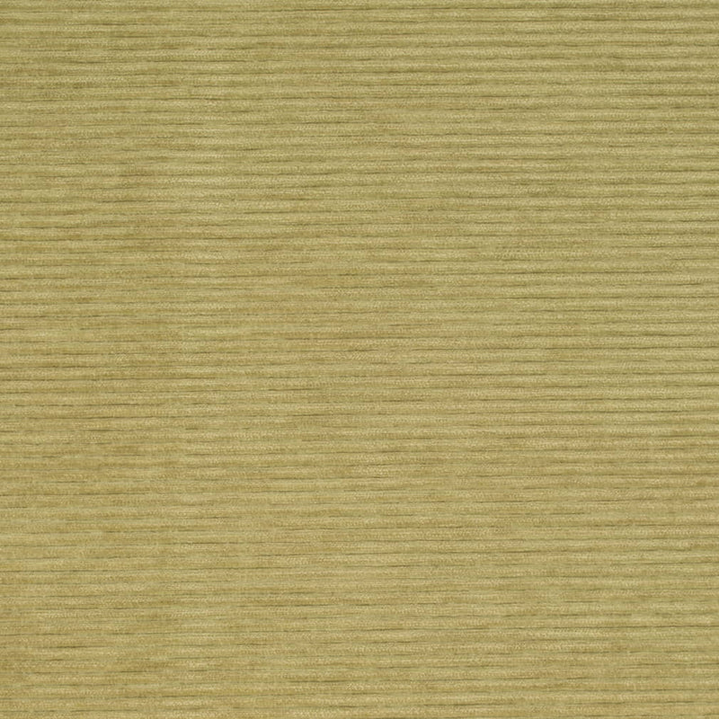 Charlotte - D4170 - Pear - Fabric by the Yard Pear