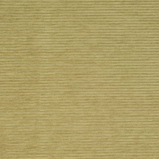 Charlotte - D4170 - Pear - Fabric by the Yard Pear