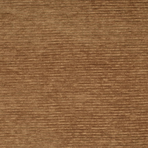 Charlotte - D4171 - Pecan - Fabric by the Yard Pecan