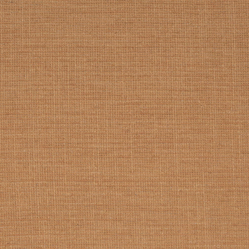 Charlotte - D4172 - Nutmeg - Fabric by the Yard Nutmeg