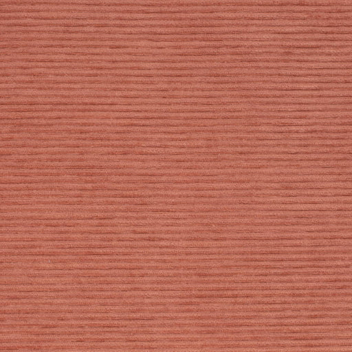 Charlotte - D4175 - Coral - Fabric by the Yard Coral