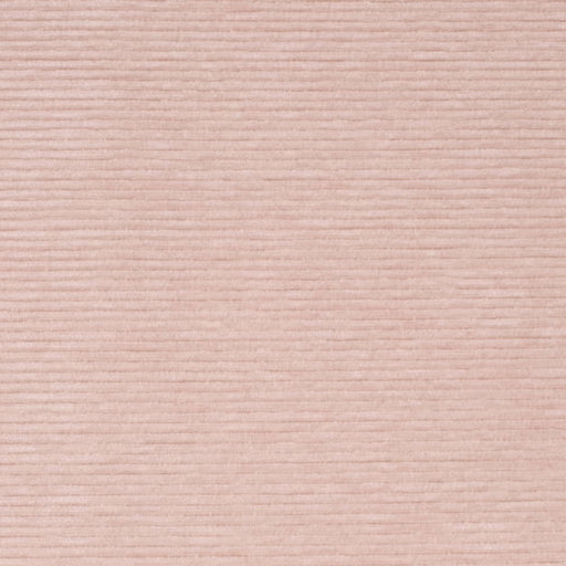 Charlotte - D4181 - Petal - Fabric by the Yard Petal