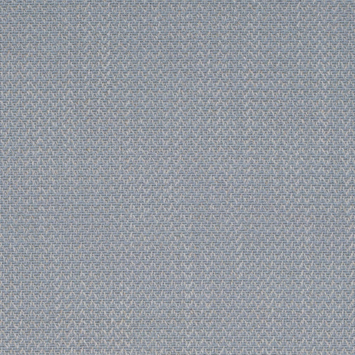 Charlotte - D4188 - Wedgewood - Fabric by the Yard Wedgewood