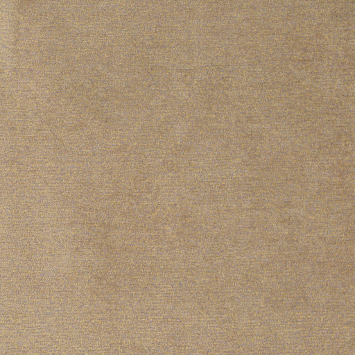 Charlotte - D4195 - Patina - Fabric by the Yard Patina