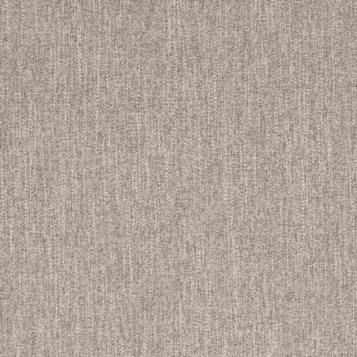 Charlotte - D4215 - Silversage - Fabric by the Yard Silversage