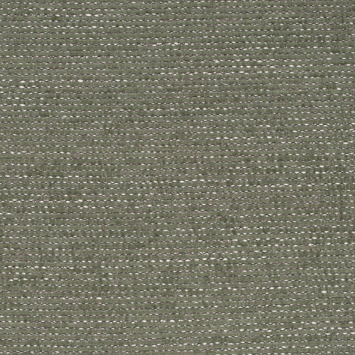 Charlotte - D4216 - Green - Fabric by the Yard Green