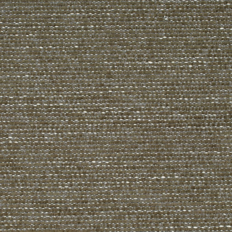 Charlotte - D4217 - Basil - Fabric by the Yard Basil