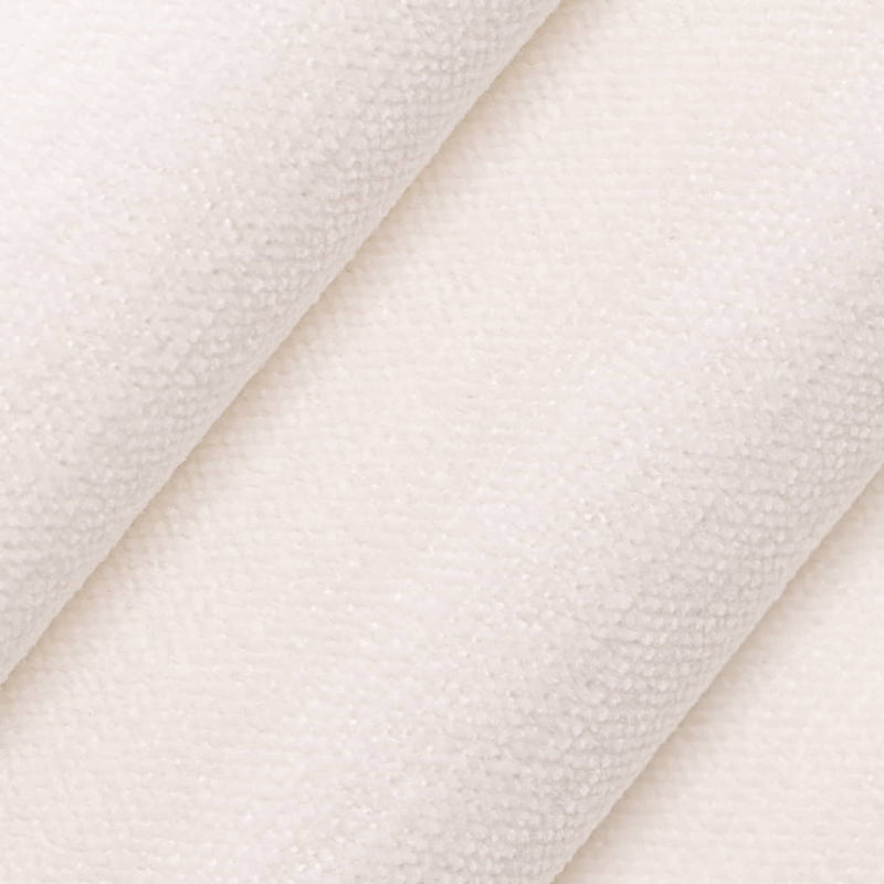 Charlotte - D4225 - Cotton - Fabric by the Yard - D4225 - D4225_Rolled