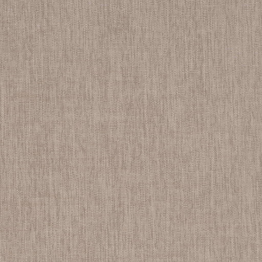 Charlotte - D4226 - Hemp - Fabric by the Yard Hemp