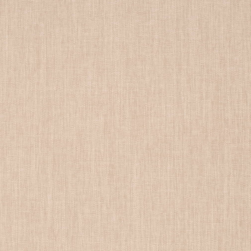 Charlotte - D4227 - Bone - Fabric by the Yard Bone