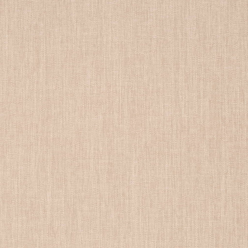 Charlotte - D4227 - Bone - Fabric by the Yard Bone