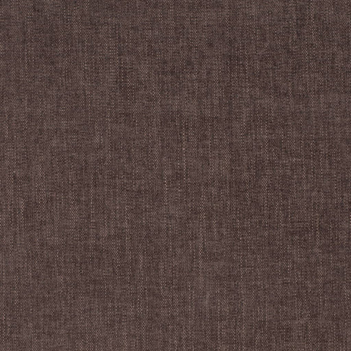 Charlotte - D4229 - Raisin - Fabric by the Yard Raisin
