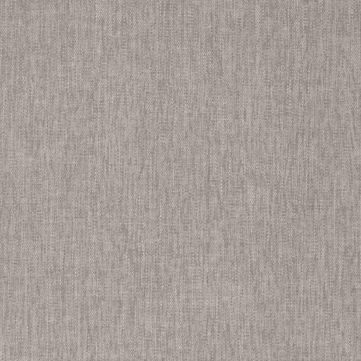 Charlotte - D4231 - Nickel - Fabric by the Yard Nickel