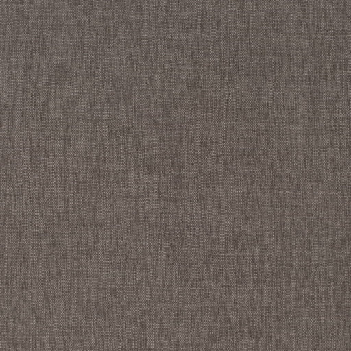 Charlotte - D4232 - Smoke - Fabric by the Yard Smoke