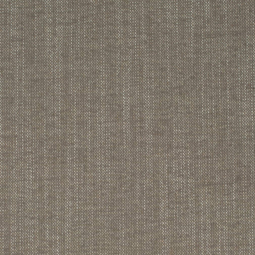 Charlotte - D4241 - Mushroom - Fabric by the Yard Mushroom